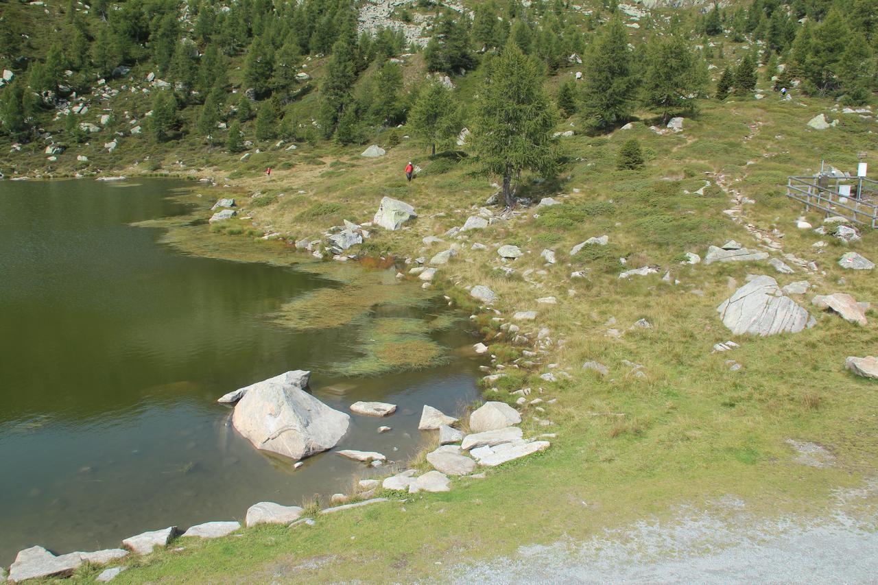 Rifugio Viviani Pradalago Hotel Madonna di Campiglio Exterior photo